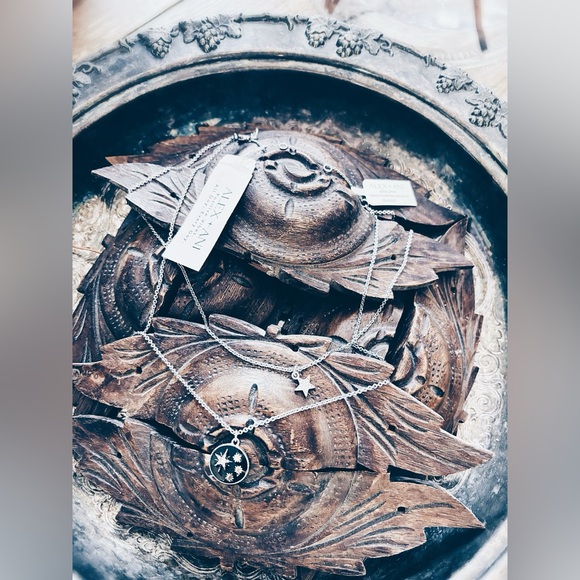 Alex and Ani Jewelry - Alex and Ani Celestial Double Row Necklace NWT Silver Black Enamel M